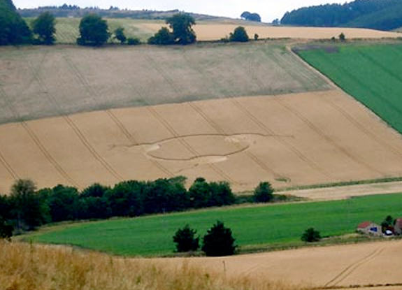 crop circle at Luthrie |  August 14 2005