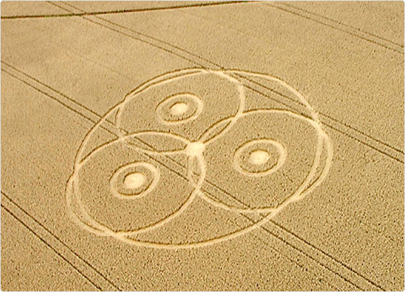 crop circle at Meopham |  August 20 2005