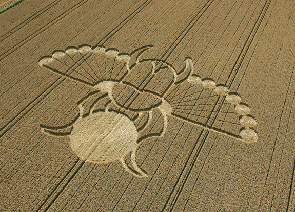 crop circle at Alton Priors | August 21 2005