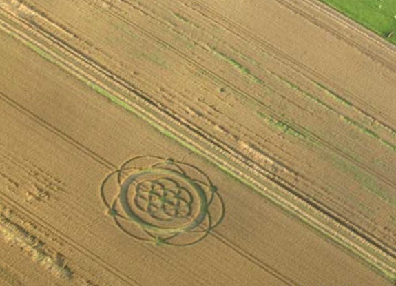 crop circle at Diever | August 28 2005