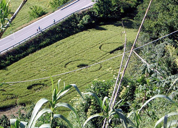 crop circle at Rochetta Belbo |  May 19 2006