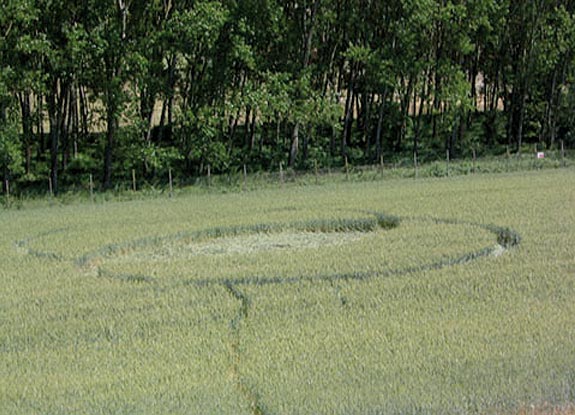 crop circle at Gallo |  May 26 2006
