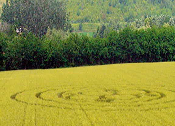 crop circle at Rochhino |  June 07 2006
