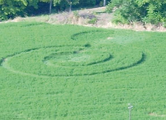 crop circle at Cartoceto | June 10 2006