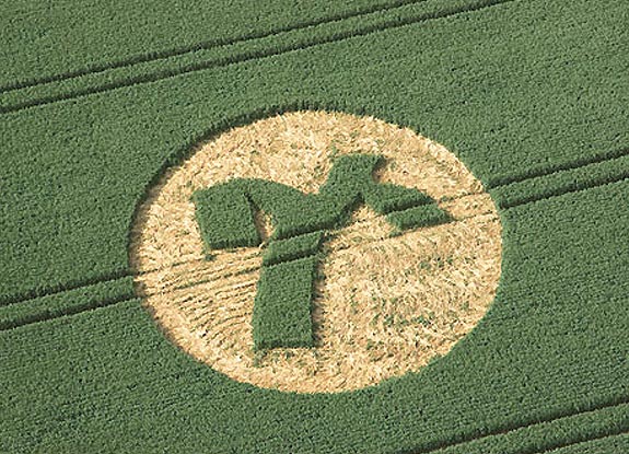 crop circle at Marlborough | June 12 2006