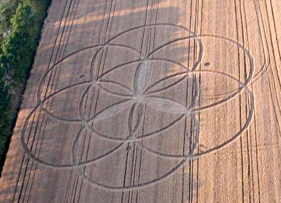 crop circle at Calcinaia | June 19 2006