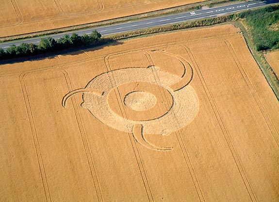 crop circle at Martham | June 21 2006