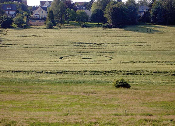 crop circle at Genval | June 24 2006