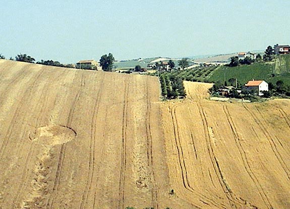 crop circle at Montegranaro | June 24 2006