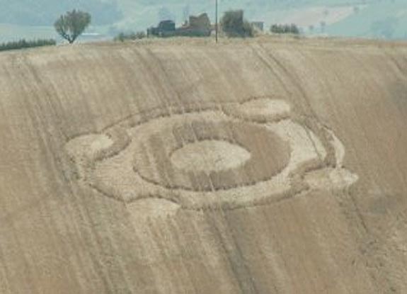 crop circle at Montegranaro | June 24 2006