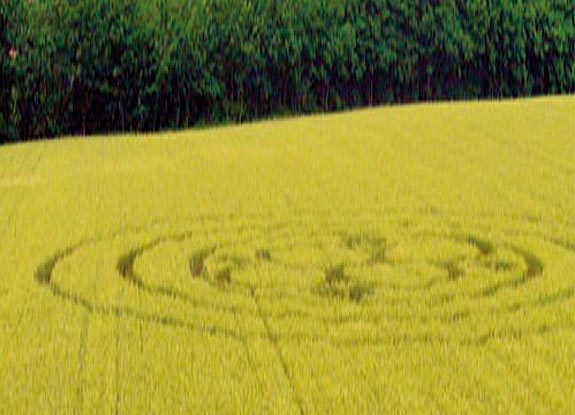 crop circle at Terzo d'Acqui | June 26 2006