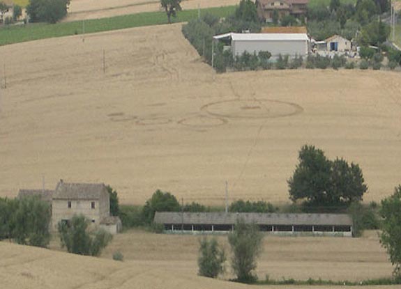 crop circle at Osimo | June 28 2006