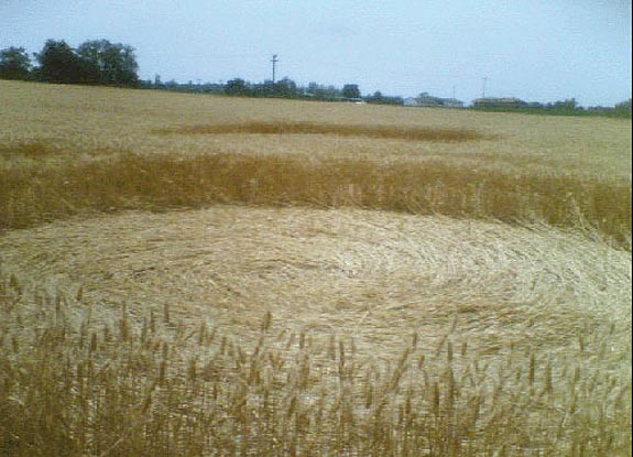 crop circle at Pralormo | June 29 2006