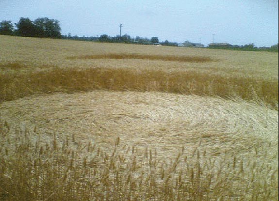 crop circle at Pralormo | June 29 2006