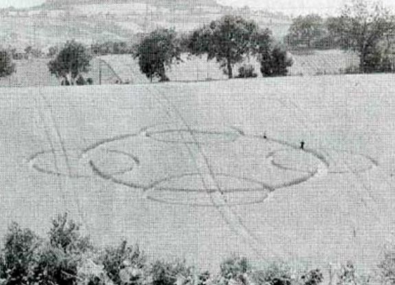 crop circle at Osimo | 2006 July 01