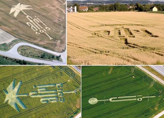 crop circle at Niederbiegen | 2006 late July