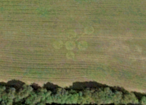 crop circle at Sacombe |  July 04 2006