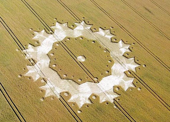 crop circle at Boxley |  July 08 2006