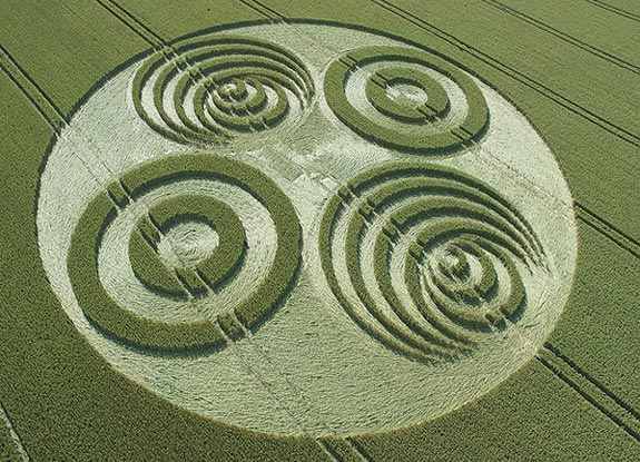 crop circle at Savernake Forest |  July 08 2006