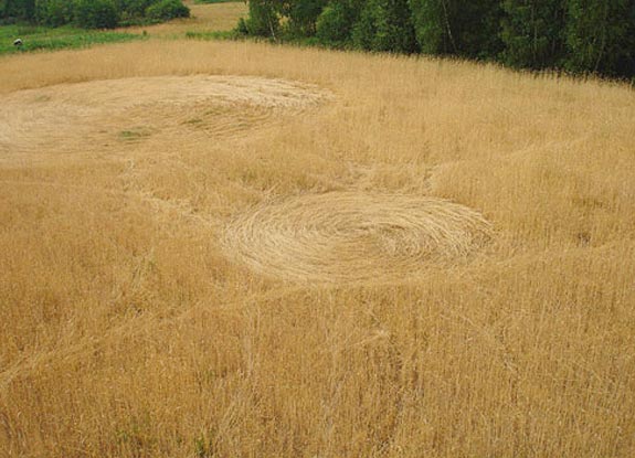 crop circle at Wistka Szlachecka | 2006 July 09