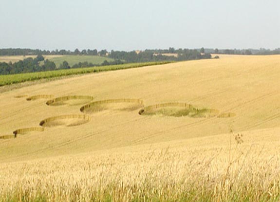 crop circle at Bragbury Lane |  July 09 2006