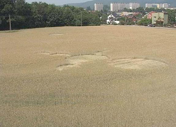 crop circle at Wejherowo | 2006 July 11