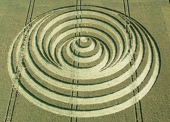 crop circle at Aldbourne |  July 11 2006