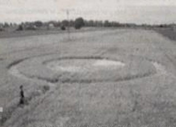 crop circle at Bolkow | 2006 July 12