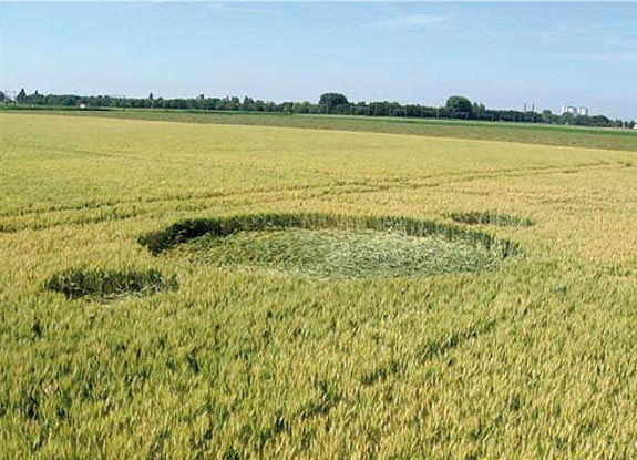 crop circle at Zevenberg | 2006 July 13