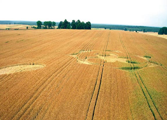 crop circle at Makowarsko | 2006 July 13