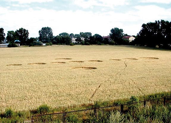 crop circle at Siedlice | 2006 July 15