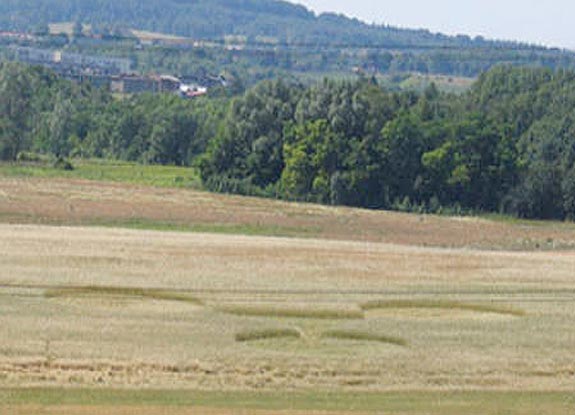 crop circle at Piekary Slaskie | 2006 July 16
