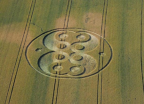 crop circle at Waterloo | 2006 July 17