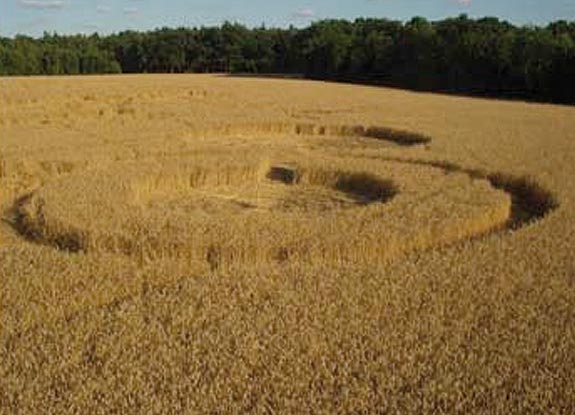 crop circle at Seeburg | 2006 July 17