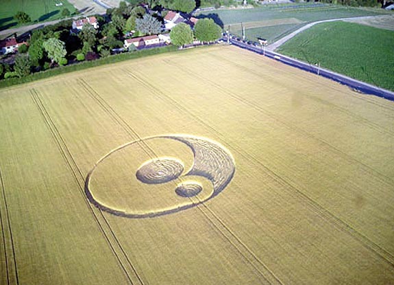 crop circle at Waterloo | 2006 July 18