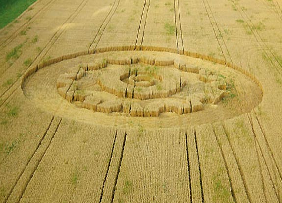 crop circle at Gümmenen |  July 19 2006