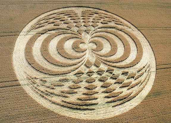 crop circle at Straight Soley |  July 19 2006