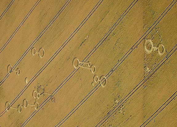 crop circle at West Overton |  July 19 2006