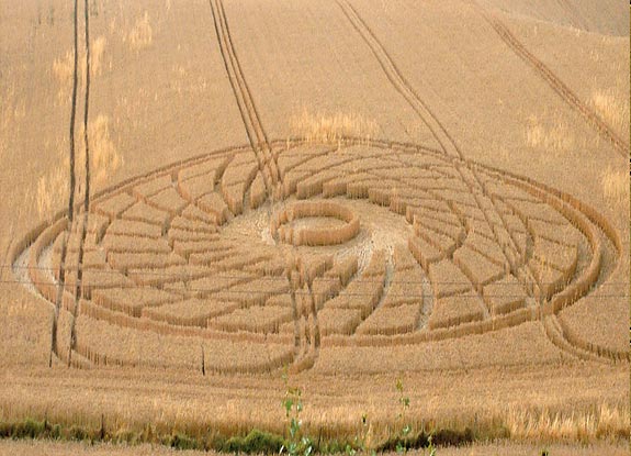 crop circle at Chartley Castle |  July 22 2006