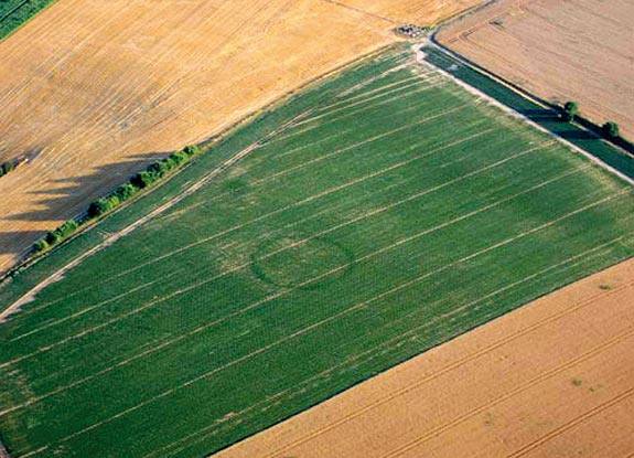 crop circle at Villers-La-Ville |  July 23 2006