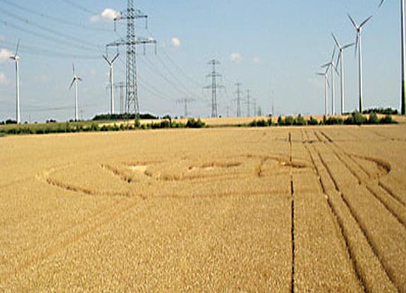 crop circle at Bredow |  July 25 2006