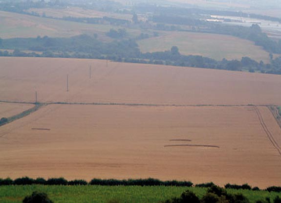 crop circle at Arreton |  July 25 2006