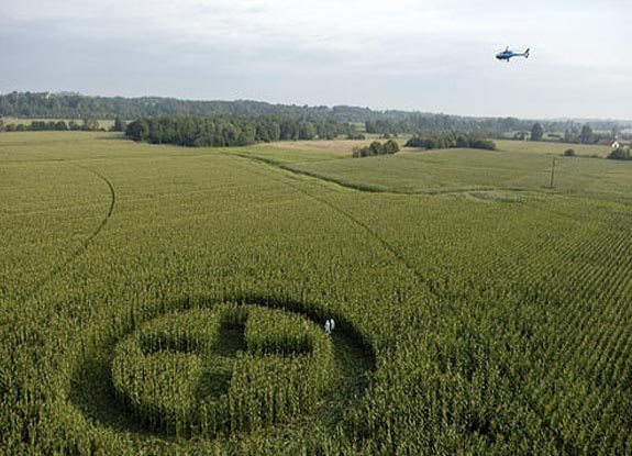 crop circle at Marmande |  July 27 2006