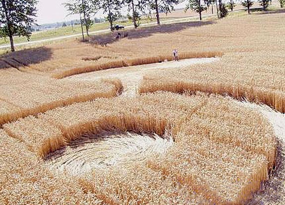 crop circle at Straduny |  July 28 2006