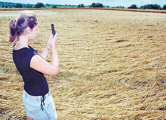 crop circle at Kolobrzeg |  July 30 2006