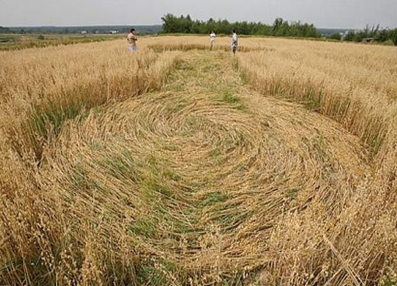 crop circle at Kolobrzeg |  July 30 2006