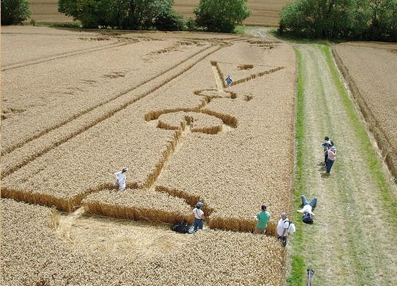 crop circle at Alton Priors |  July 30 2006