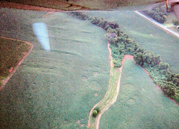 crop circle at Illinois | July 30 2006