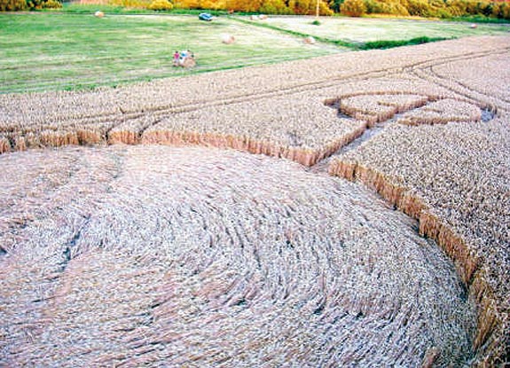 crop circle at Wilkowa | July 31 2006