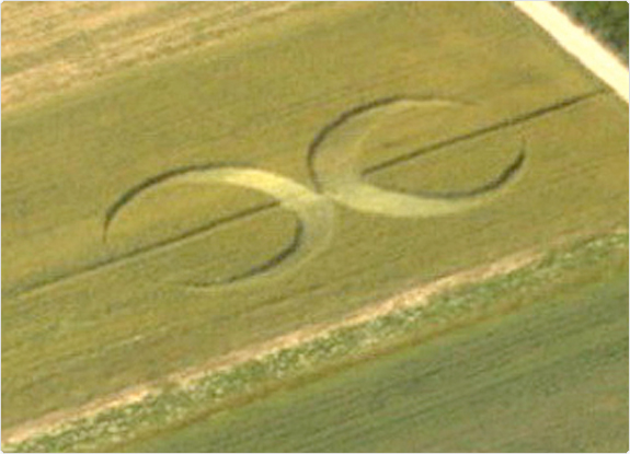 crop circle at Hilbesheim |late  July 2006